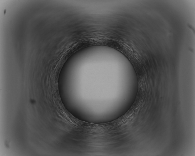X0000091981009200709061148