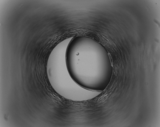 X0000091981010200709061148