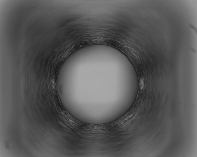 X0000091981011200709061148