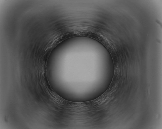 X0000091981012200709061148