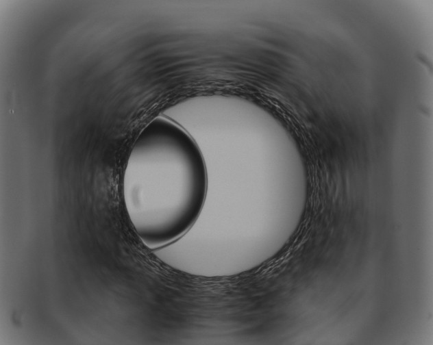 X0000091981013200709061148