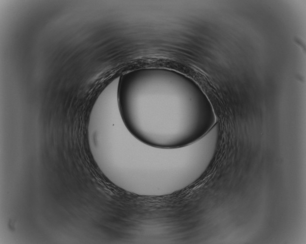 X0000091981014200709061148