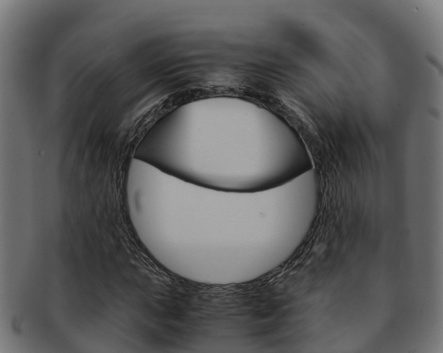 X0000091981015200709061148