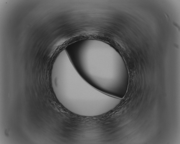 X0000091981016200709061148