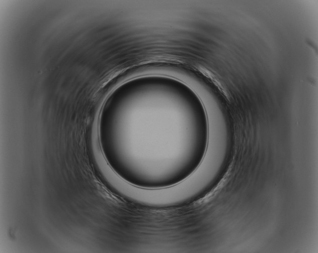 X0000091981017200709061148