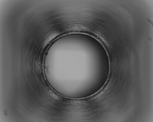 X0000091981018200709061148