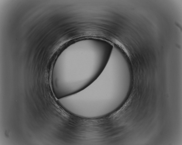 X0000091981019200709061148