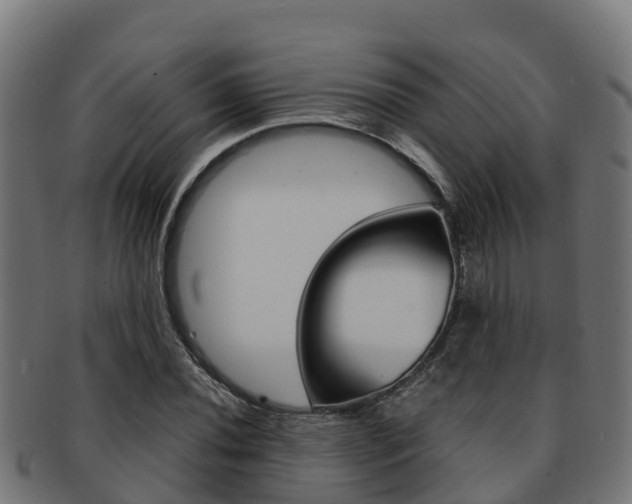 X0000091981020200709061148