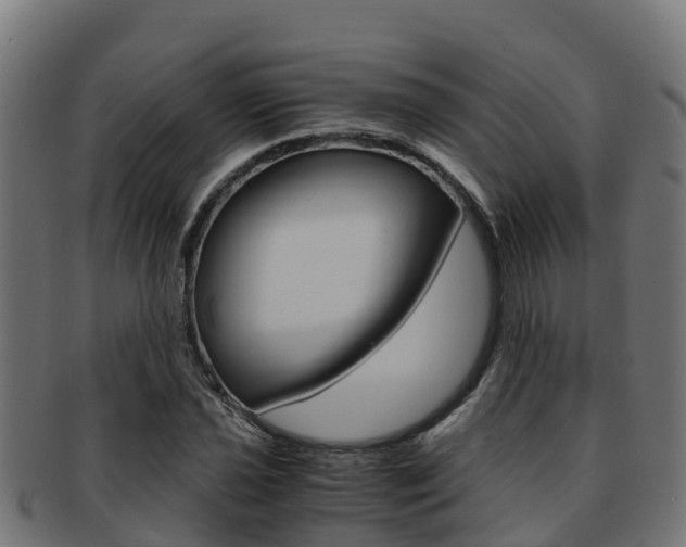 X0000091981021200709061148
