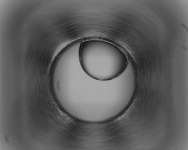 X0000091981022200709061148