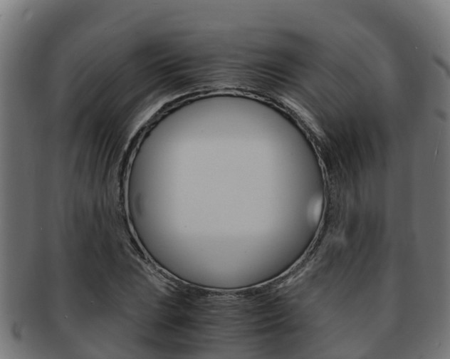 X0000091981023200709061148