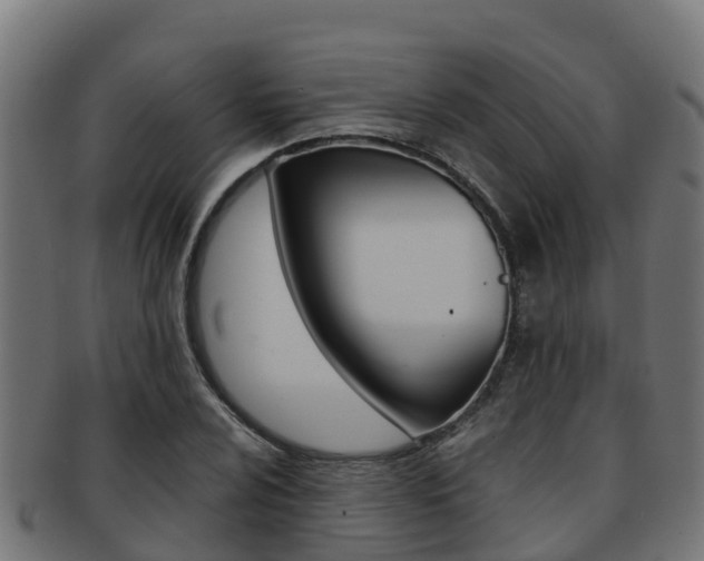 X0000091981024200709061148