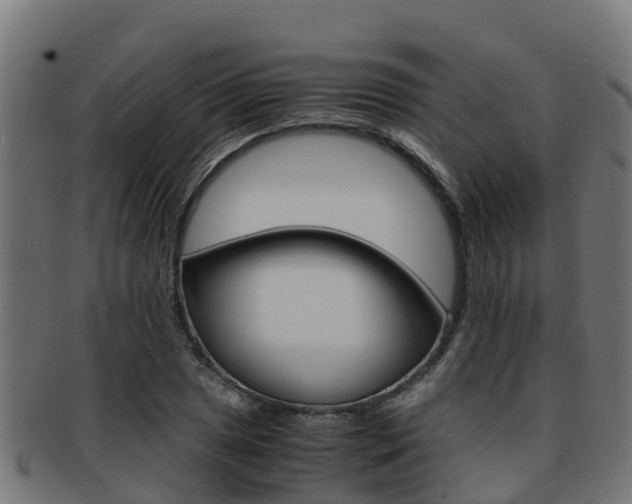 X0000091981025200709061148