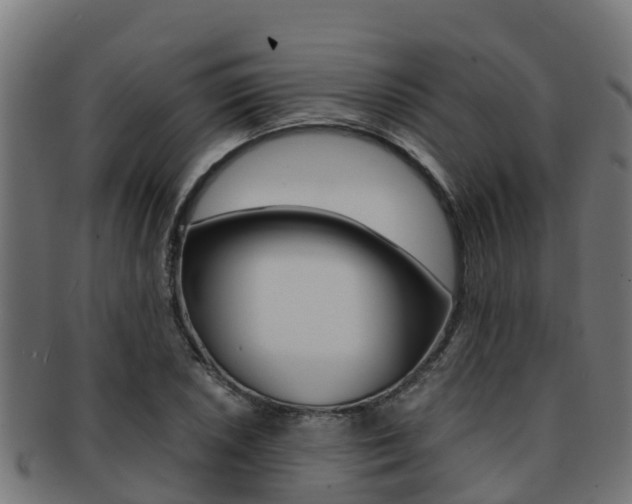 X0000091981026200709061148