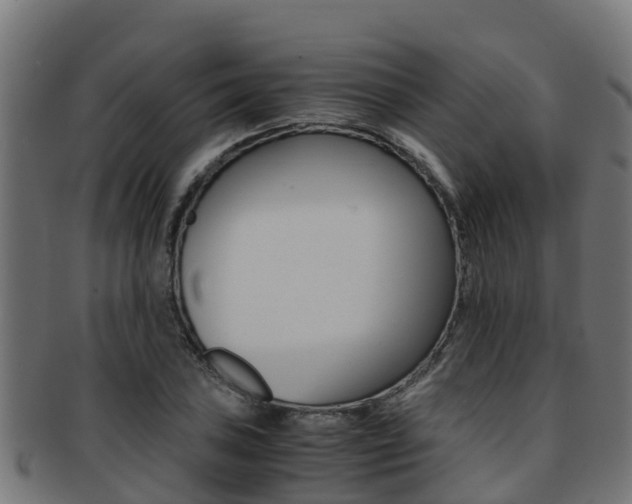 X0000091981027200709061148