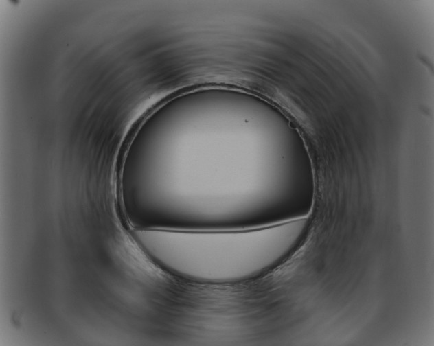 X0000091981028200709061148