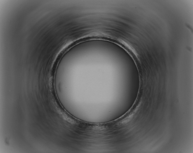 X0000091981029200709061148