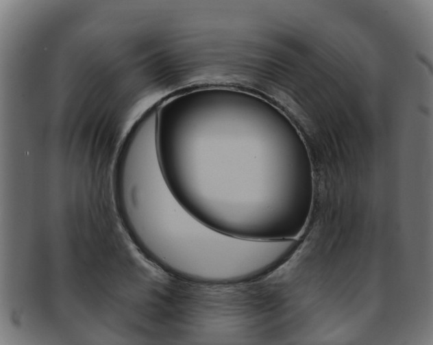 X0000091981030200709061148