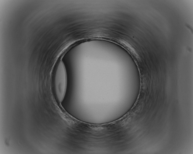 X0000091981031200709061148