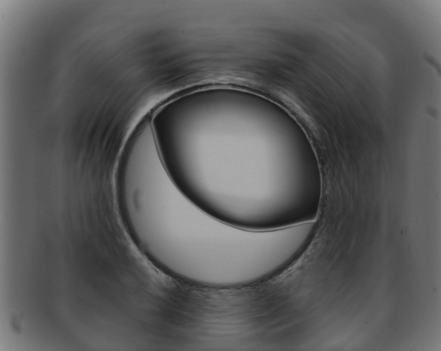 X0000091981032200709061148