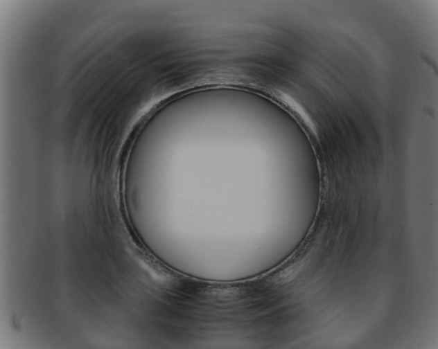 X0000091981035200709061148