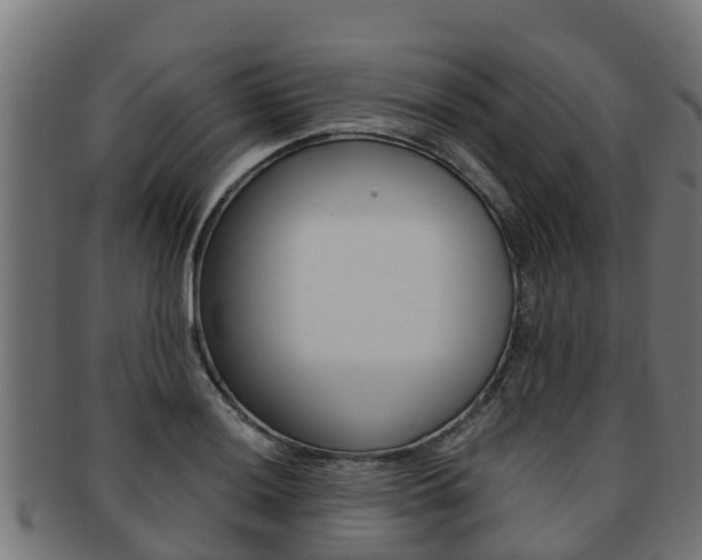 X0000091981036200709061148