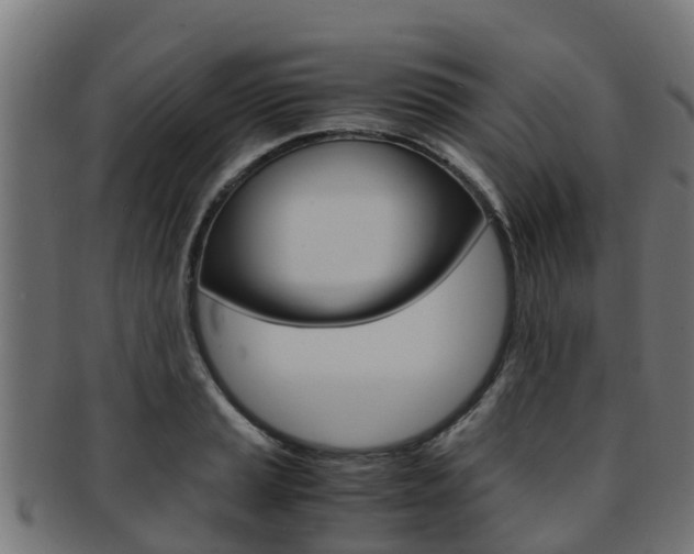 X0000091981037200709061148