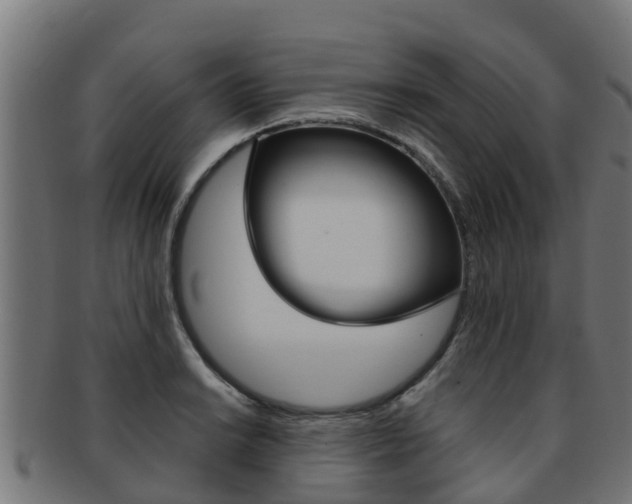 X0000091981038200709061148