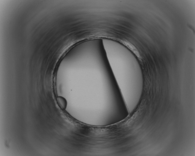 X0000091981039200709061148