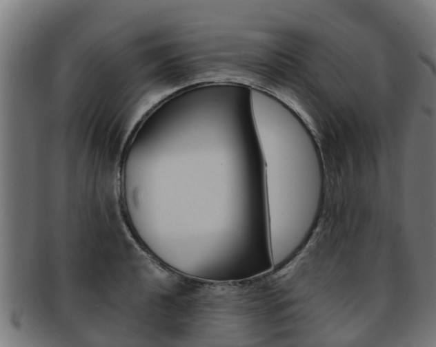 X0000091981040200709061148
