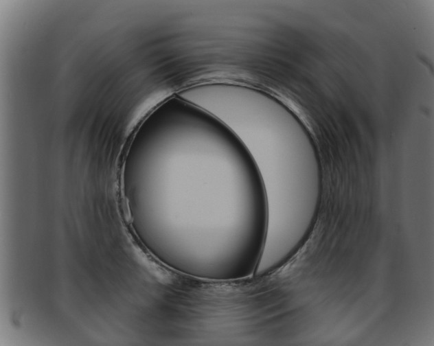 X0000091981042200709061148