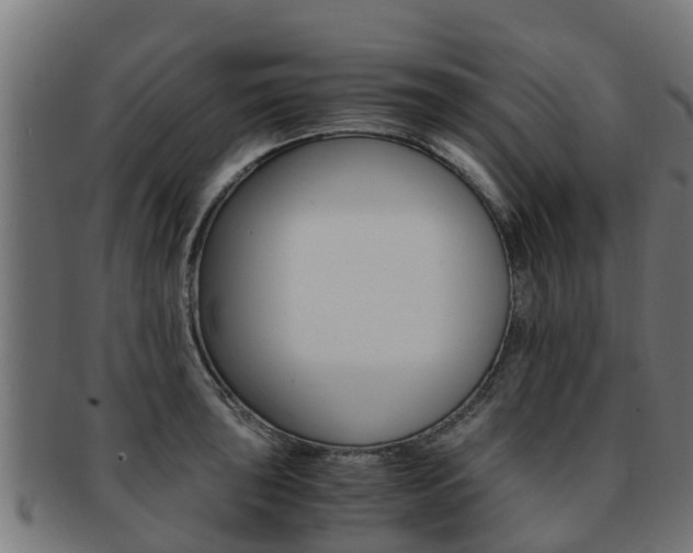 X0000091981043200709061148