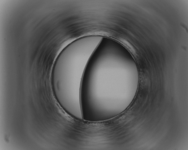 X0000091981044200709061148