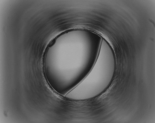 X0000091981045200709061148