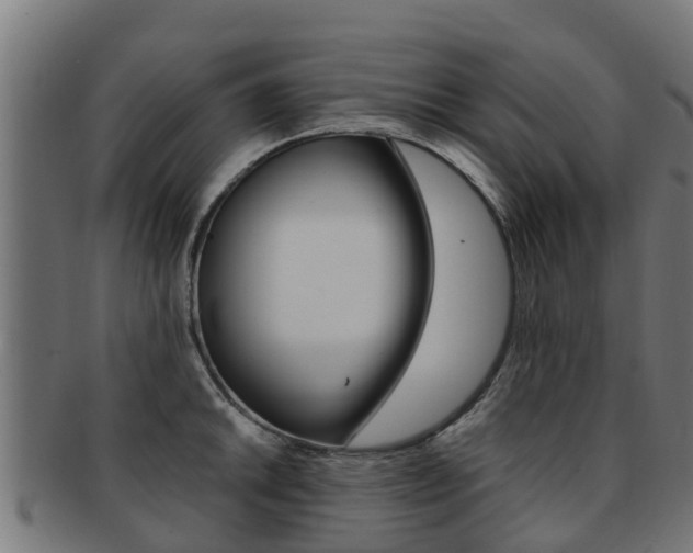 X0000091981046200709061148