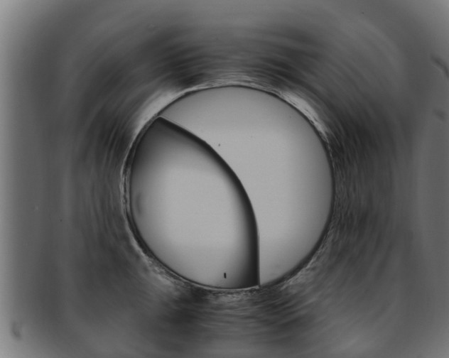 X0000091981047200709061148