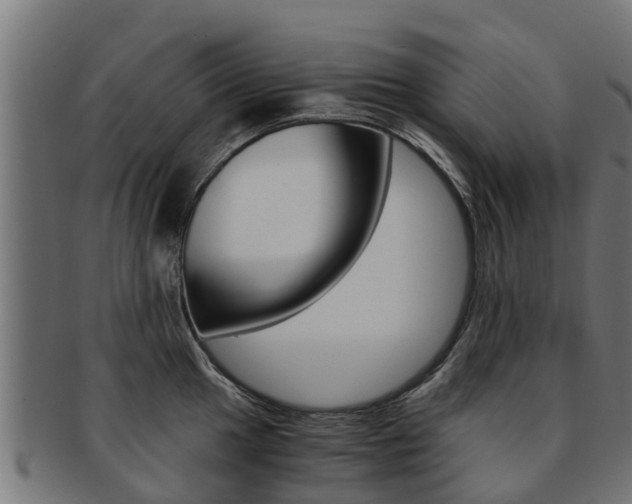 X0000091981049200709061148