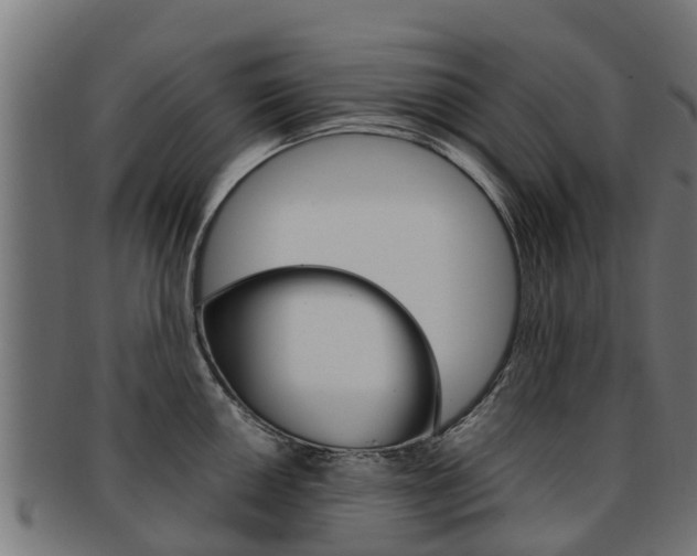 X0000091981050200709061148