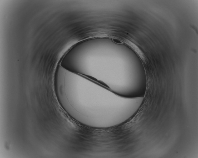 X0000091981051200709061148