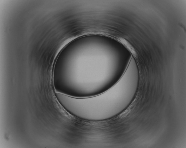 X0000091981052200709061148