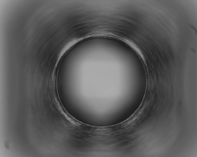 X0000091981053200709061148