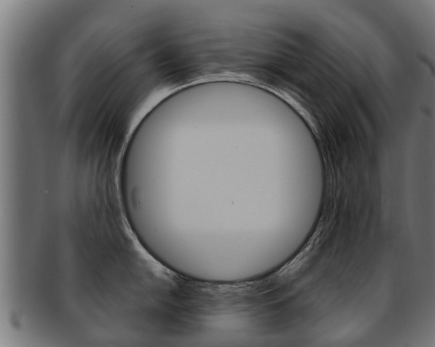 X0000091981054200709061148