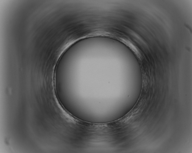 X0000091981055200709061148