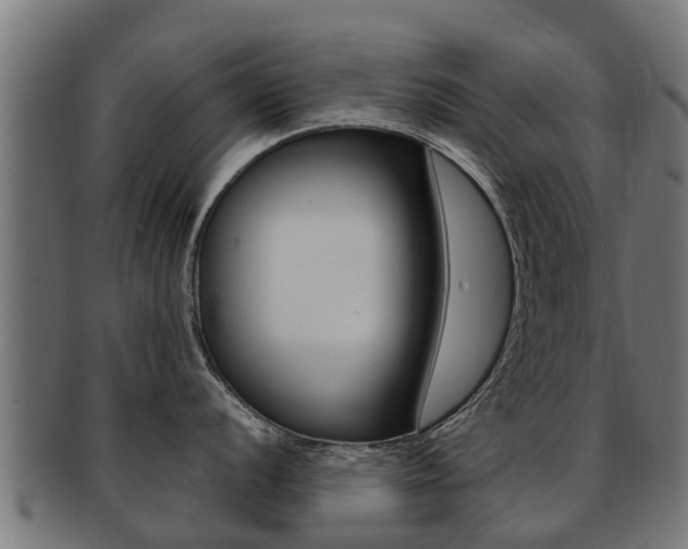 X0000091981056200709061148