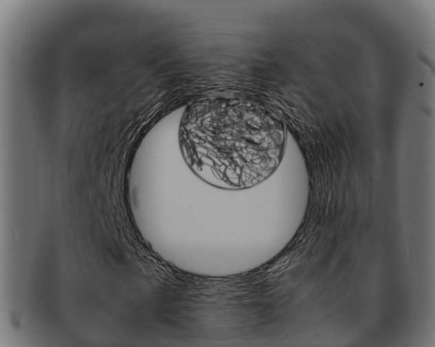X0000091981057200709061148