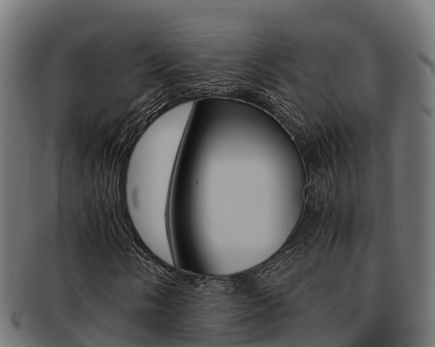 X0000091981058200709061148