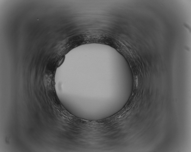 X0000091981059200709061148