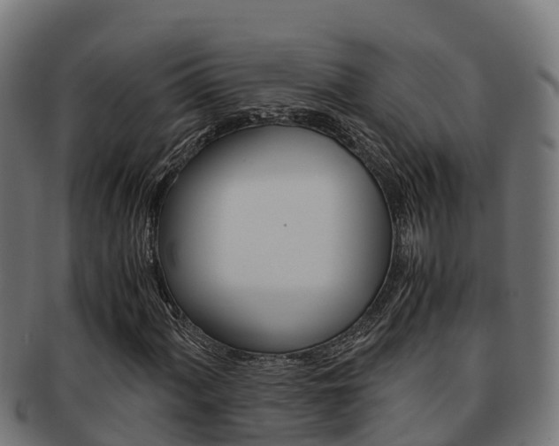 X0000091981060200709061148