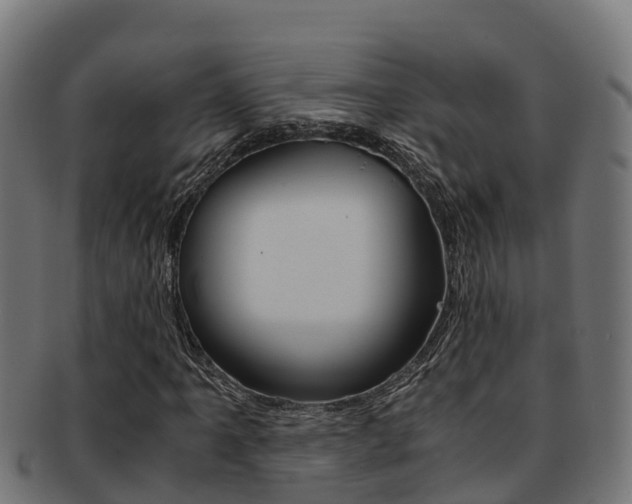 X0000091981061200709061148