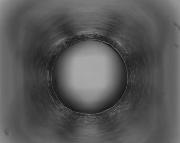 X0000091981062200709061148